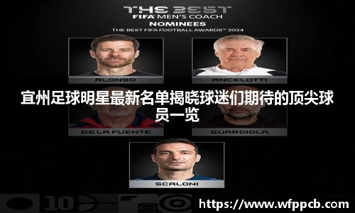 宜州足球明星最新名单揭晓球迷们期待的顶尖球员一览