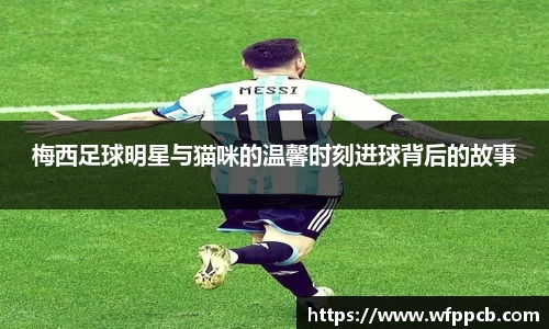 梅西足球明星与猫咪的温馨时刻进球背后的故事
