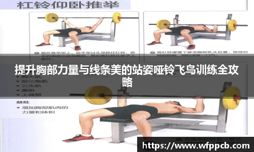 提升胸部力量与线条美的站姿哑铃飞鸟训练全攻略